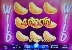 Another winning picture