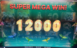 Another winning picture