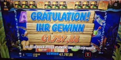 Another winning picture