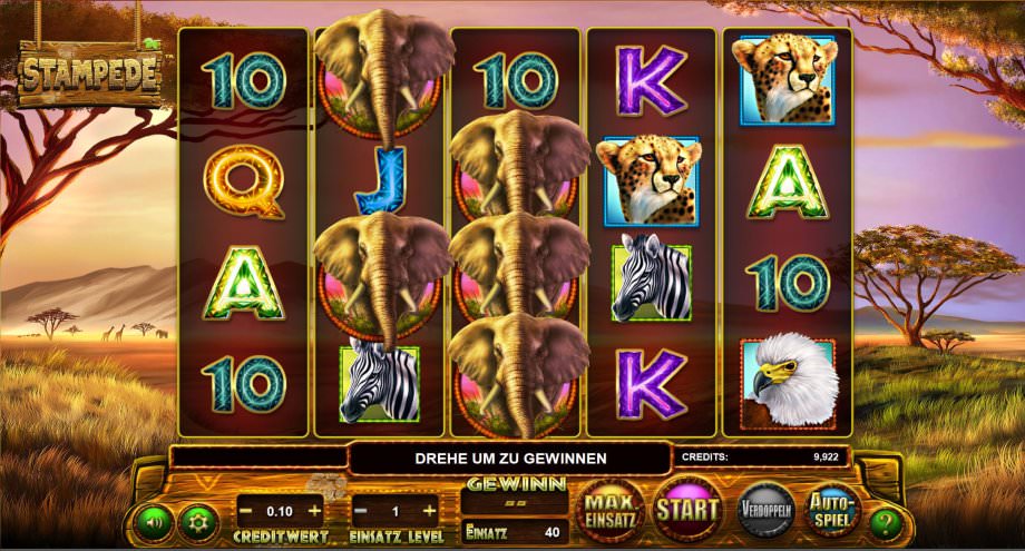 Stampede Slot von Betsoft