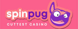 Spin Pug Logo