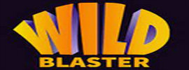 Wildbaster Casino  Logo