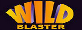 Wildbaster Casino Logo