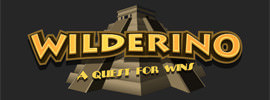 Wilderino Logo