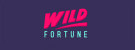 Logo Wild Fortune Online Casino