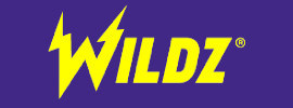 Logo Wildz