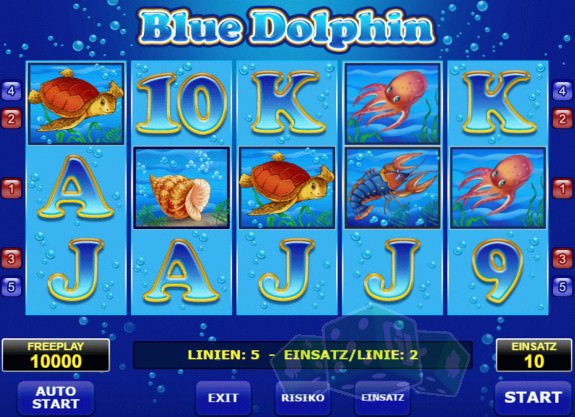Blue Dolphin Titelbild