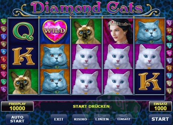 Diamond Cats Cover picture