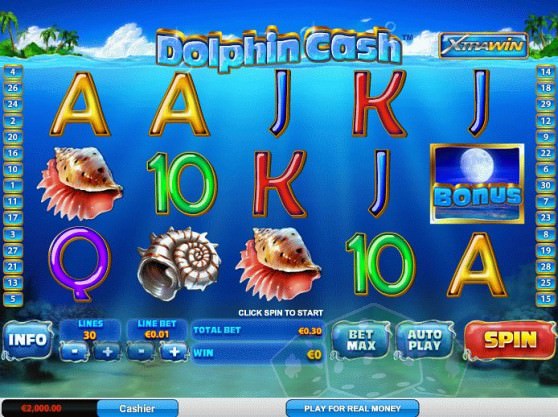 Dolphin Cash Cover picture