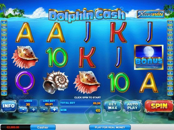 Dolphin Cash Titelbild