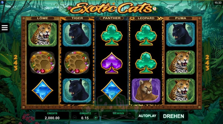 Exotic Cats Titelbild