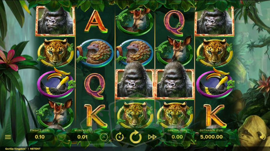 Gorilla Kingdom Titelbild