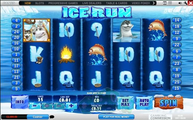 Ice Run Cover picture