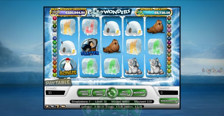Icy Wonders Cover picture