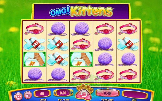 OMG! Kittens Cover picture