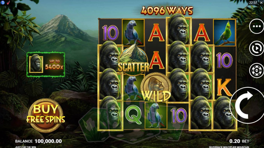 Silverback Multiplier Mountain Titelbild