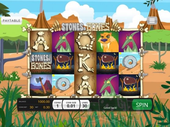 Stones & Bones Cover picture