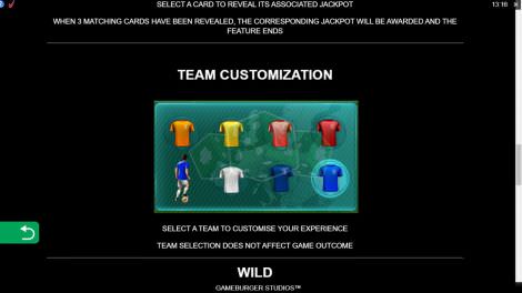 Team Customization