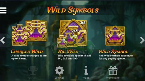 Wild Symbole