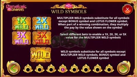 Wild Symbole