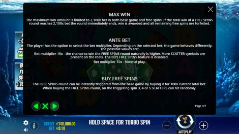 Max Win
