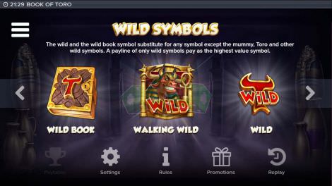 Wild Symbols