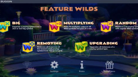 Feature Wilds