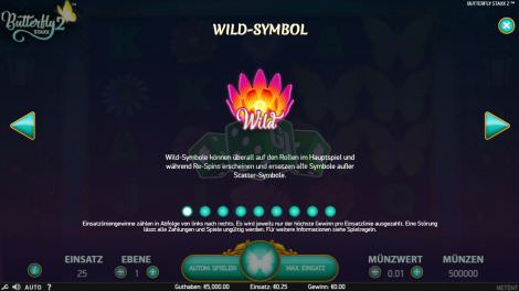 Wild Symbol