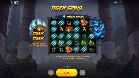 Tiger Spins