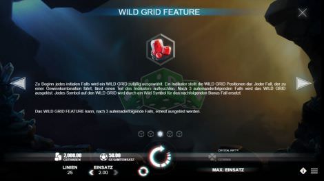 Wild Grid Feature