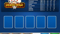 online casino no deposit limit top dog slots casino
