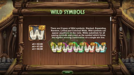 Wild Symbols