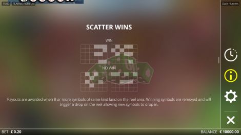 Scatter Wins