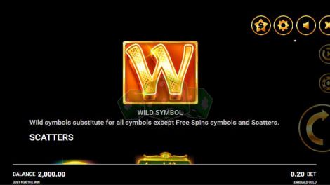 Wild Symbol