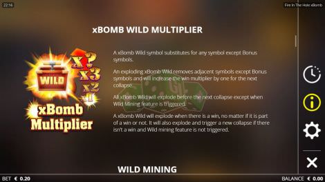 Wild Multiplier