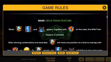 Wild Train Feature