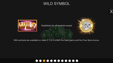 Wild Symbol