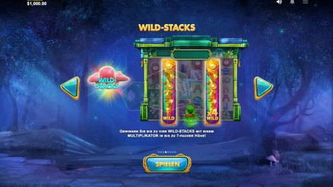 Wild Stacks