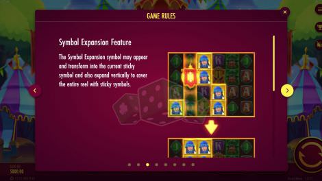 Expansion Feature