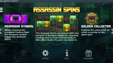 Assassin Spins