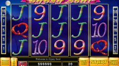 Online Casinos Gamblejoe Online Casinos Gamblejoe