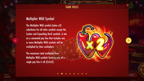 Multiplier Wild Symbol