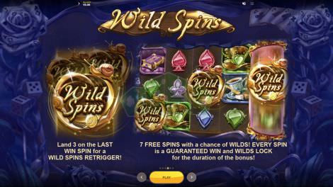 Wild Spins