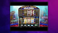 7 euro casino casino mit bitcoins bezahlen