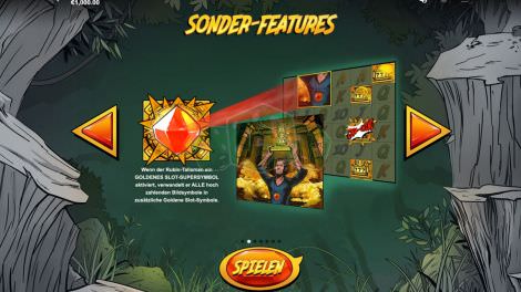 Sonder Features