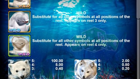 Wild Symbole