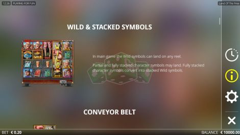 Wild & Stacked Symbols