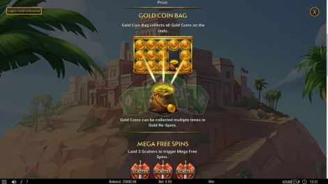 Gold Coin Bag