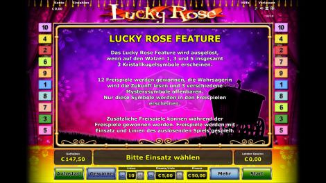 Lucky Rose Feature