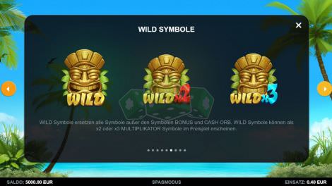 Wild Symbole